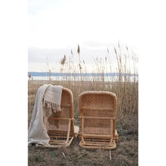 Wholesale The Picnic Chair (incl. shoulder strap) - Tiny net